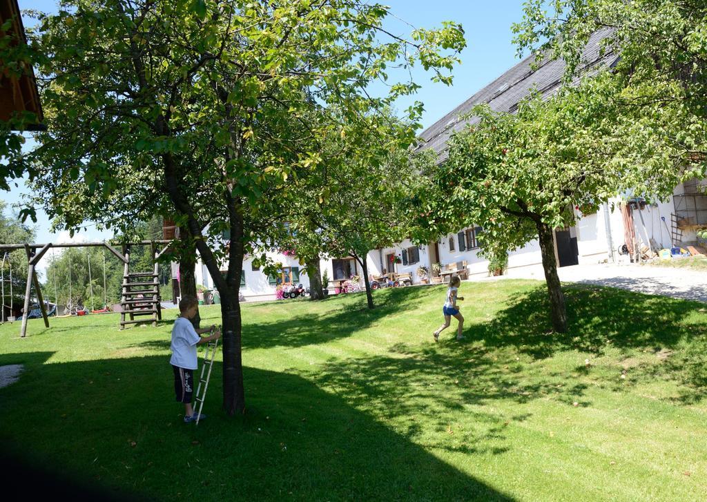 Weinbachbauer - Urlaub Am Bauernhof Villa Saint Wolfgang Eksteriør bilde