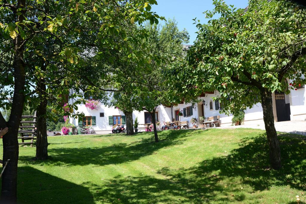 Weinbachbauer - Urlaub Am Bauernhof Villa Saint Wolfgang Eksteriør bilde