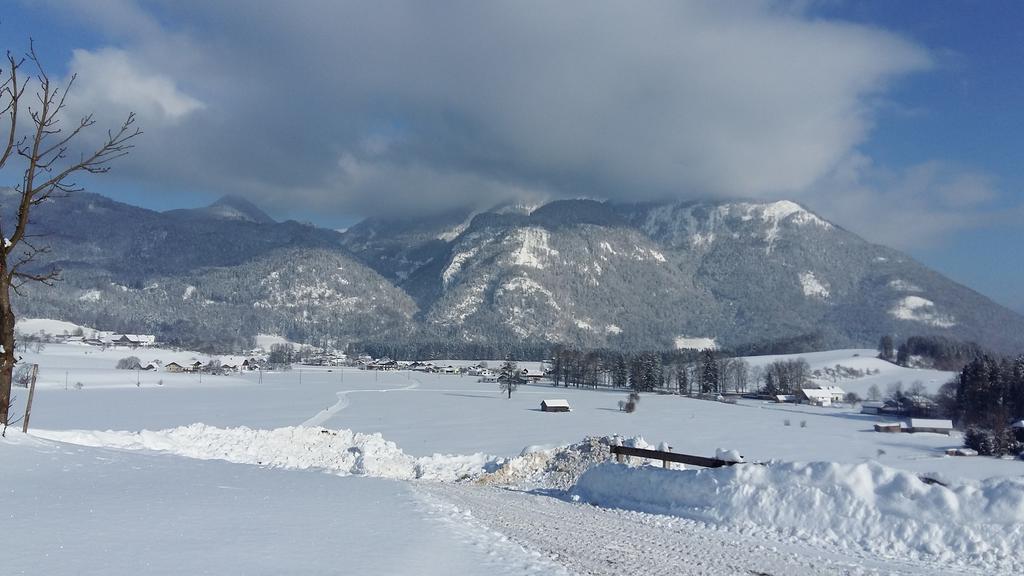 Weinbachbauer - Urlaub Am Bauernhof Villa Saint Wolfgang Eksteriør bilde