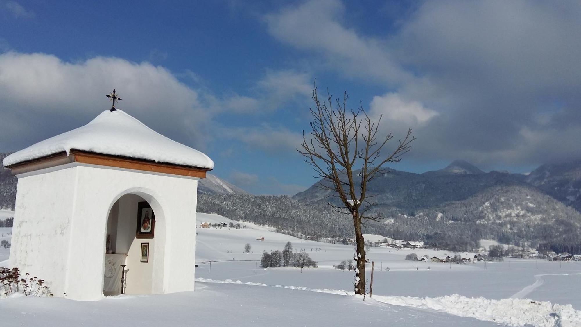 Weinbachbauer - Urlaub Am Bauernhof Villa Saint Wolfgang Eksteriør bilde