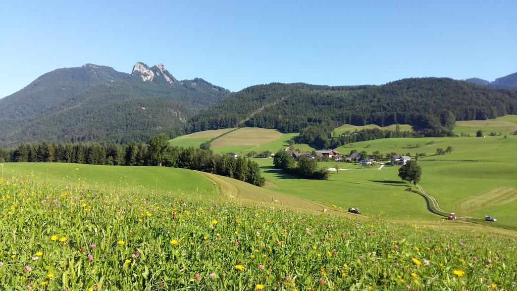Weinbachbauer - Urlaub Am Bauernhof Villa Saint Wolfgang Eksteriør bilde