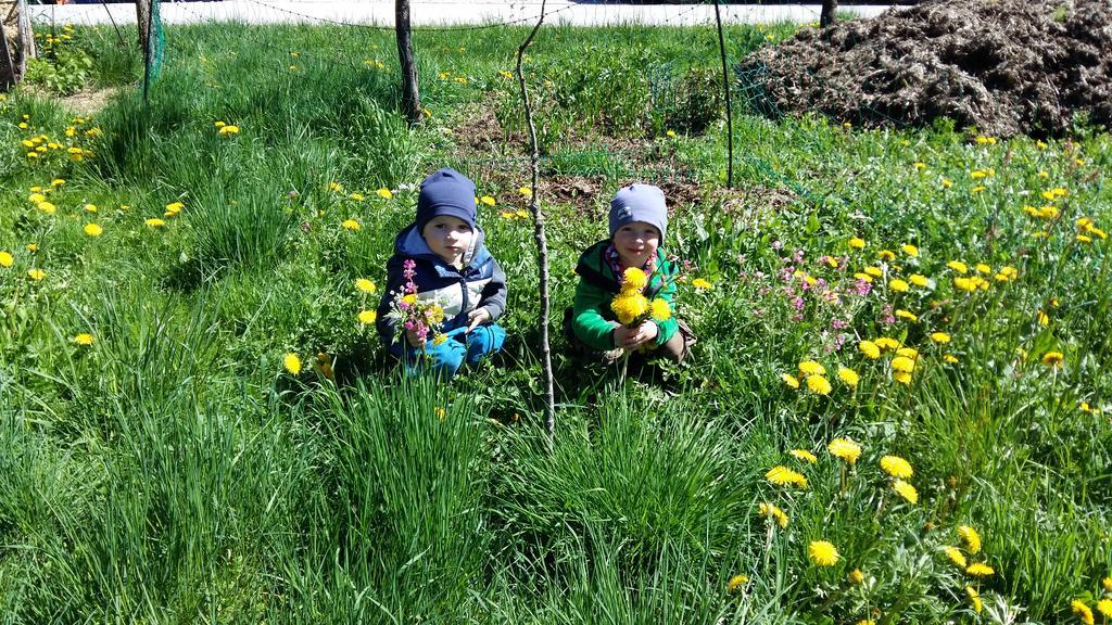Weinbachbauer - Urlaub Am Bauernhof Villa Saint Wolfgang Eksteriør bilde
